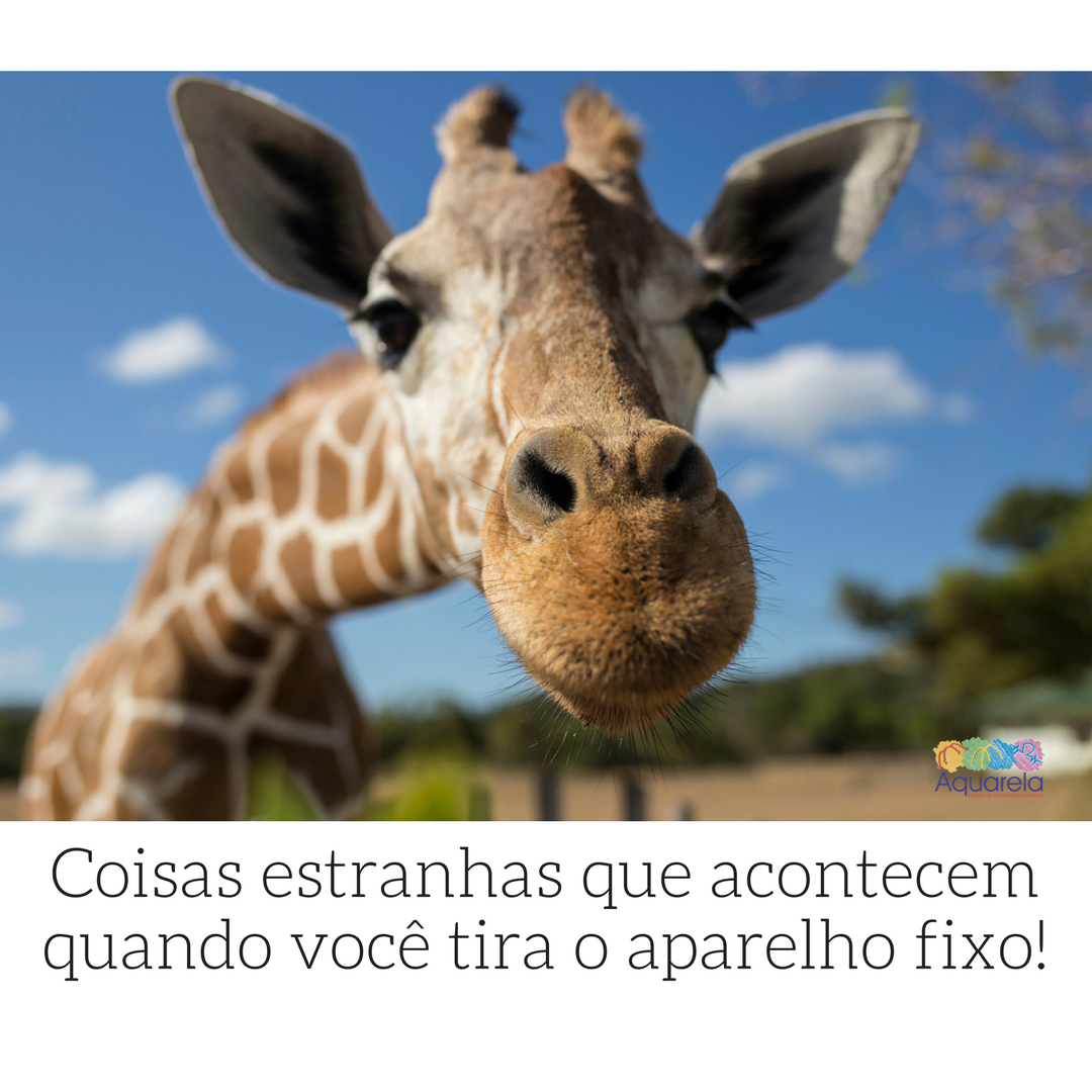 Coisas estranhas que acontecem quando você tira o aparelho fixo!