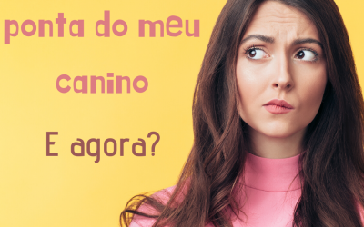 Desgastei a ponta do meu canino, e agora?